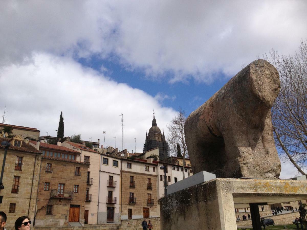 Apartamento Turisticos Puente Romano P3 2-A サラマンカ エクステリア 写真