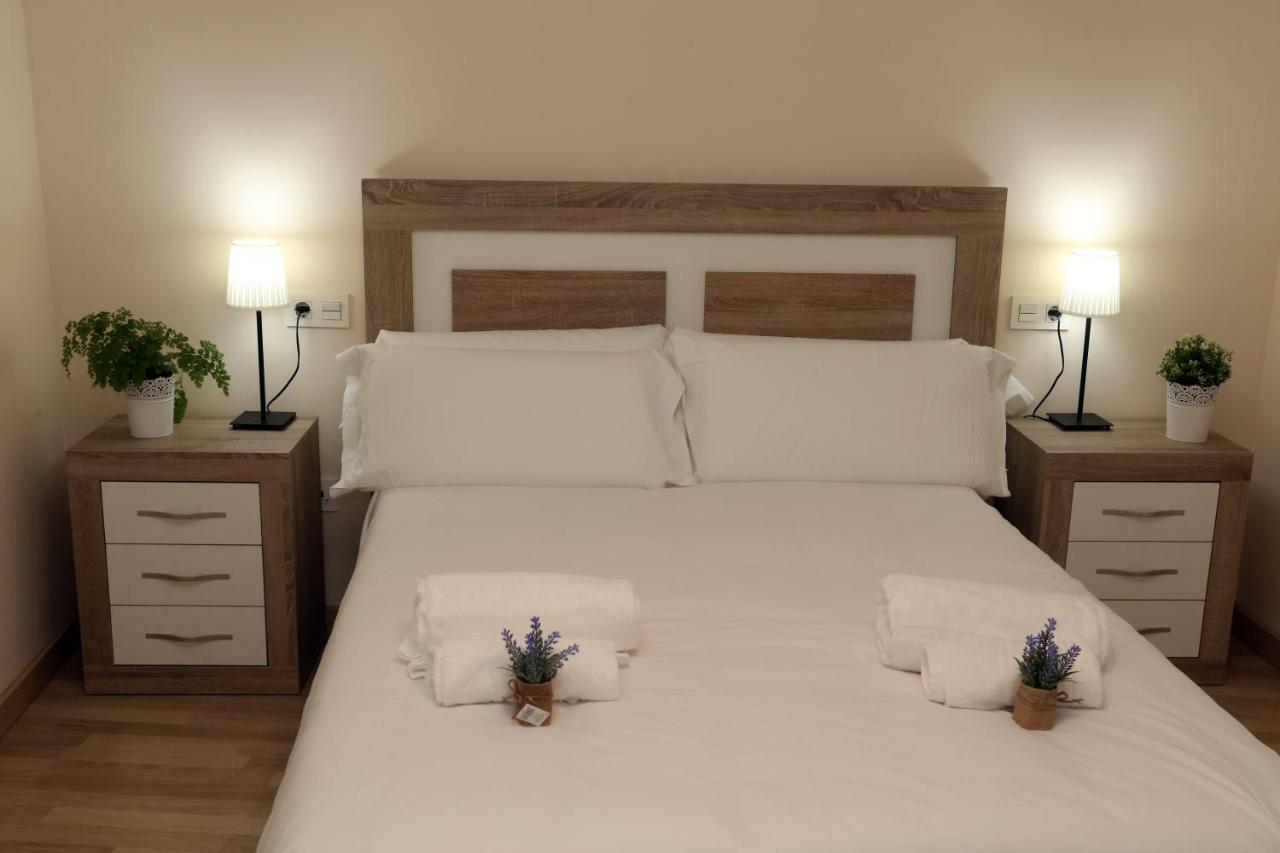 Apartamento Turisticos Puente Romano P3 2-A サラマンカ エクステリア 写真